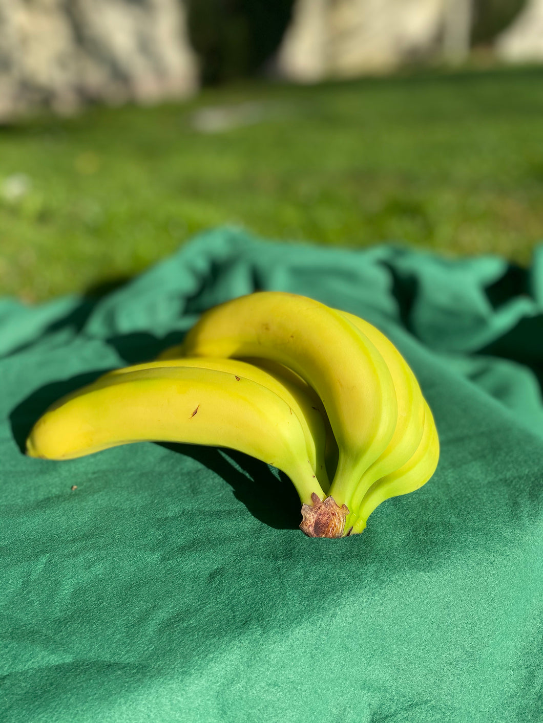 Bananna    (per kilo)