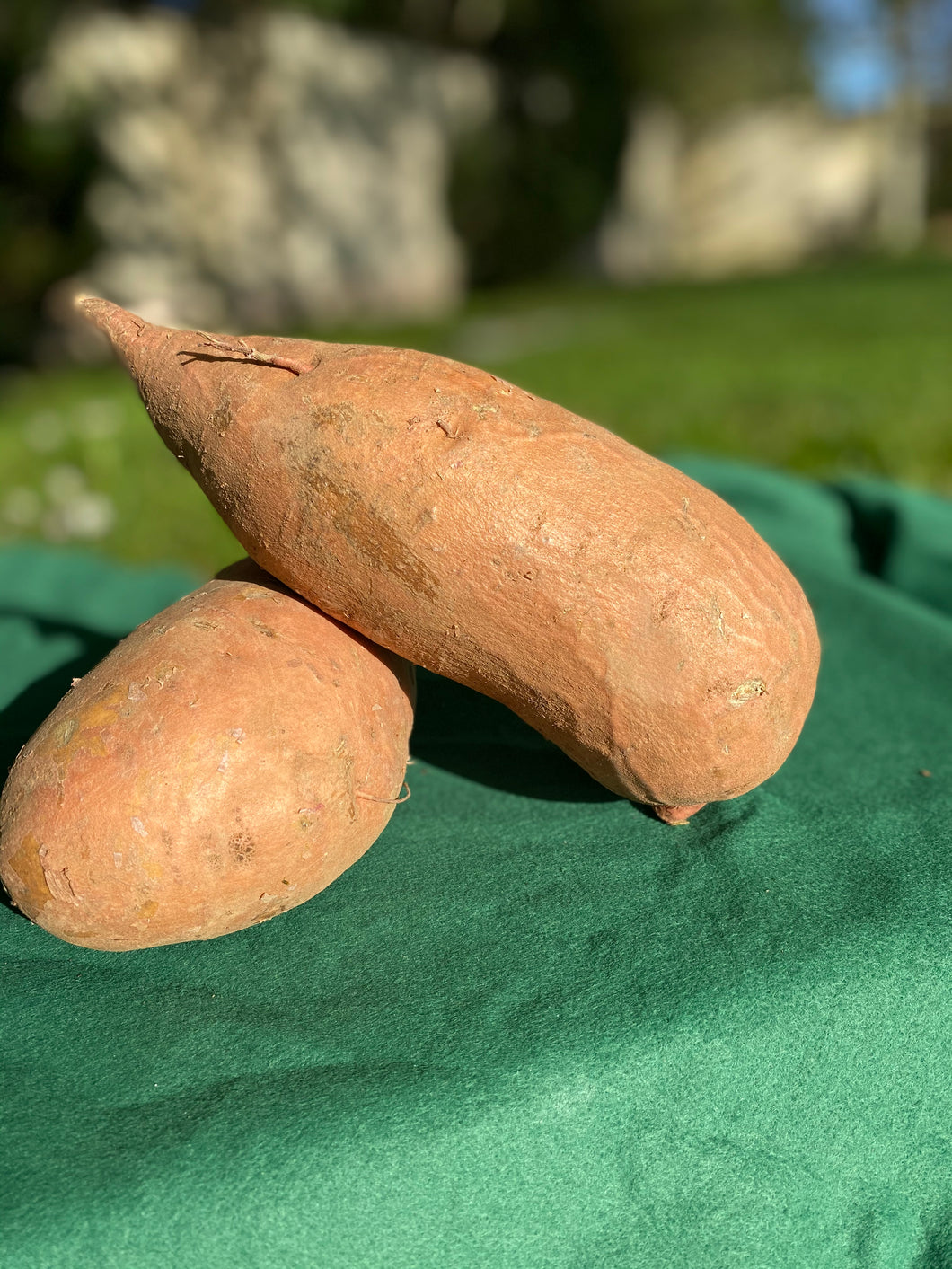 Sweet Potato (1kg)